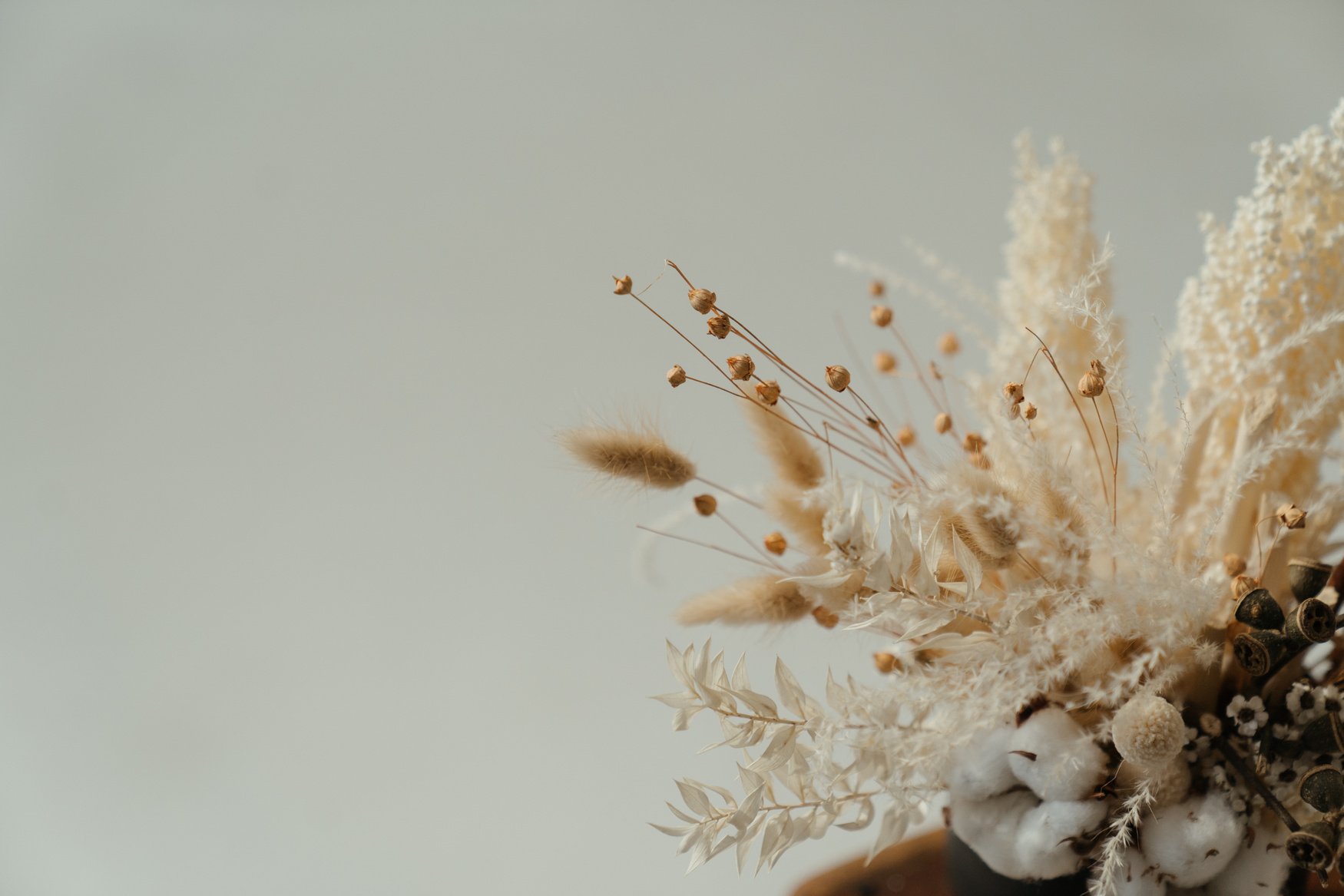 White Flower in Macro Lens Photography